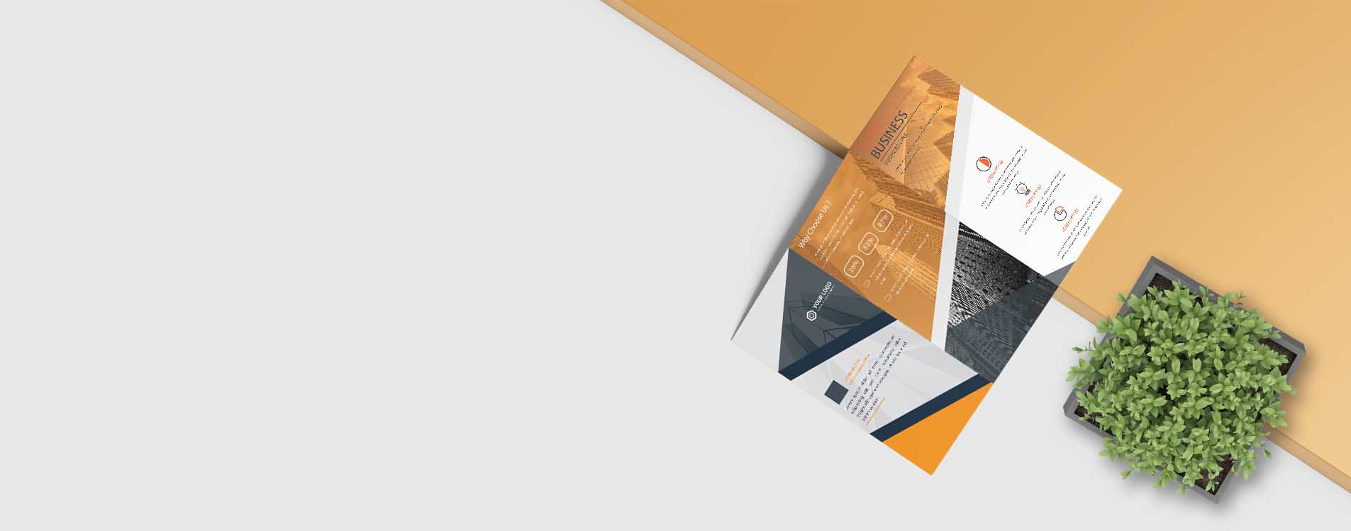 3 Fold Brochure